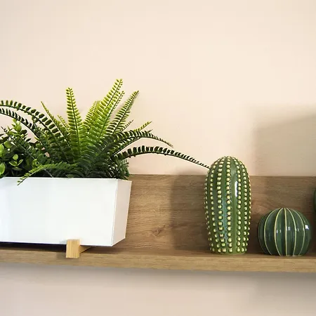 Iris House Apartmán Ferrara